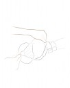 Product-DM06a-2